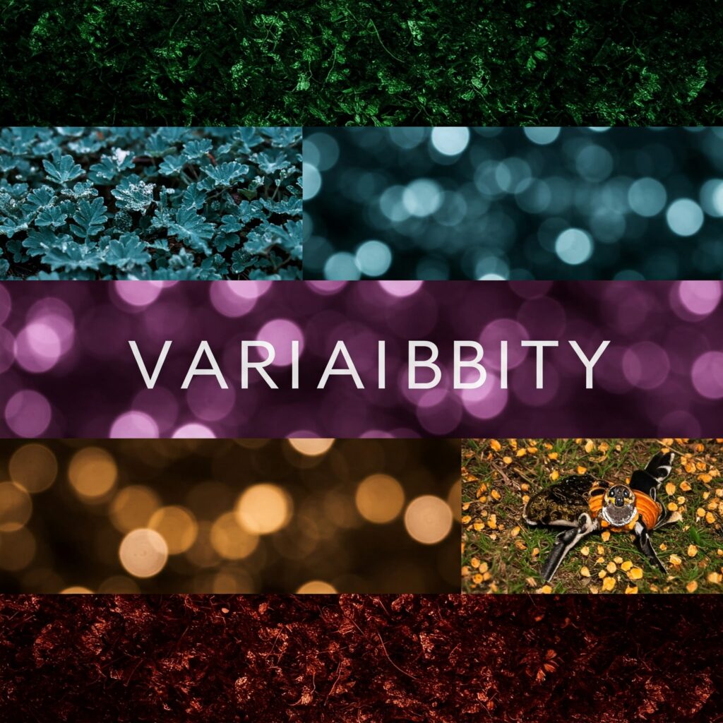 dataAdroit-Variability